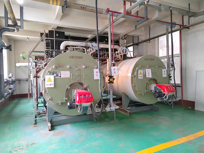 帶節(jié)能器燃?xì)忮仩t